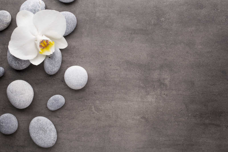 灰色背景上的白色的兰花和鹅卵石