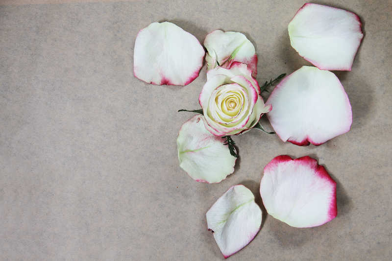 亚麻布上的白色的玫瑰花和花瓣