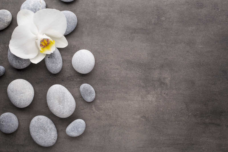 灰色背景上的鹅卵石和白色兰花