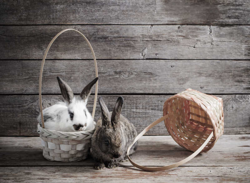 木制背景下的兔子和篮子