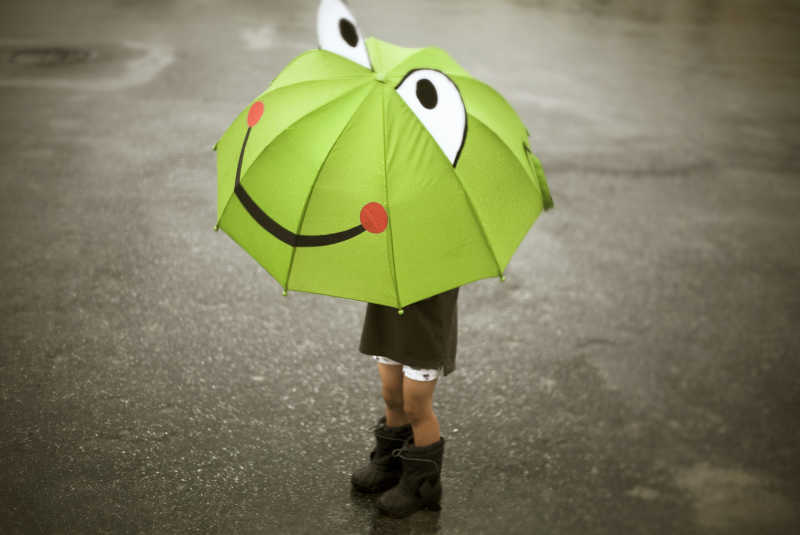 下雨天打着青蛙伞