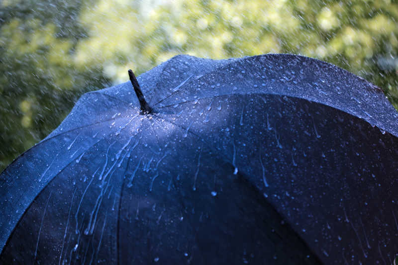 雨中伞图片大全图片