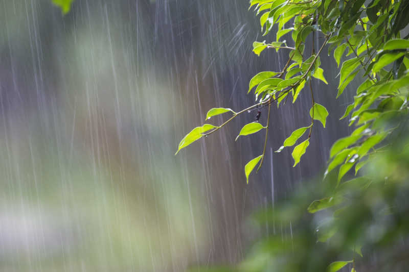 和风细雨的图画图片