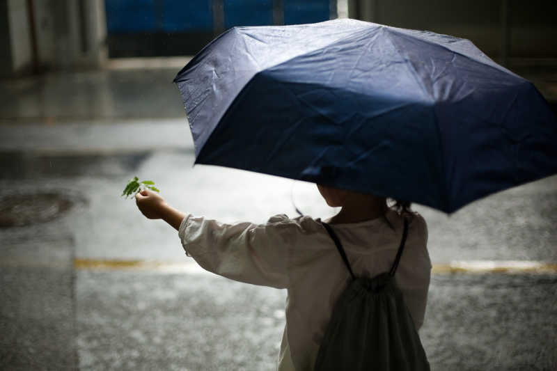 雨中伞下女孩拿着叶子