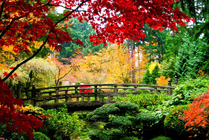 秋季花园风景