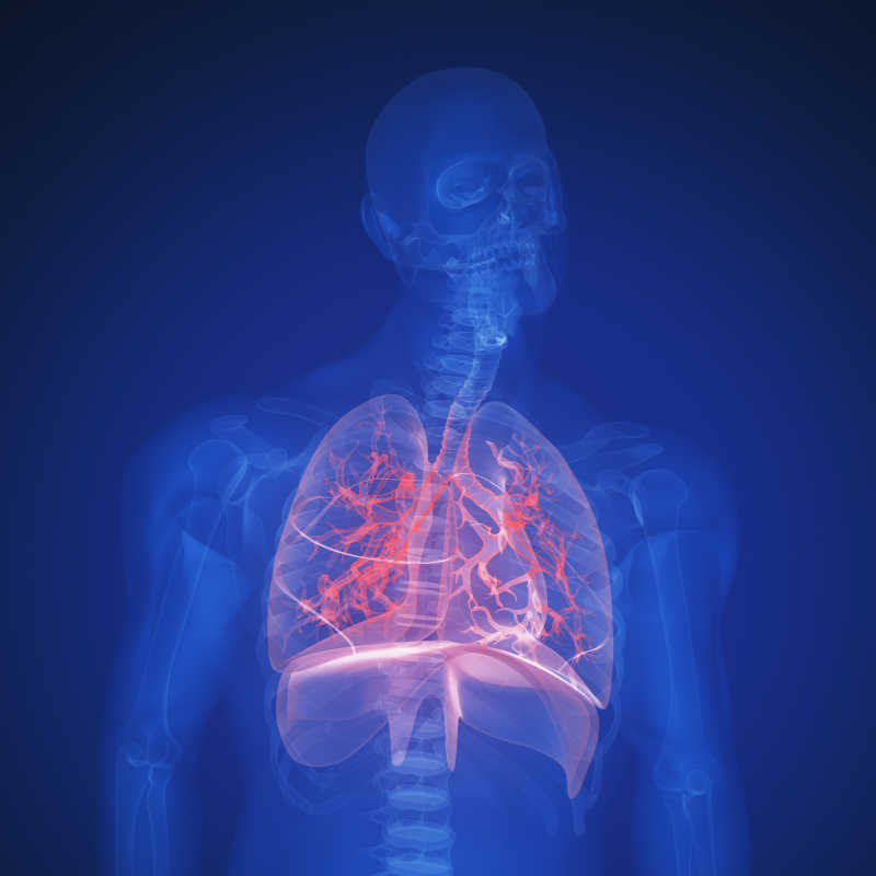 X射线下的男性骨骼与肺部