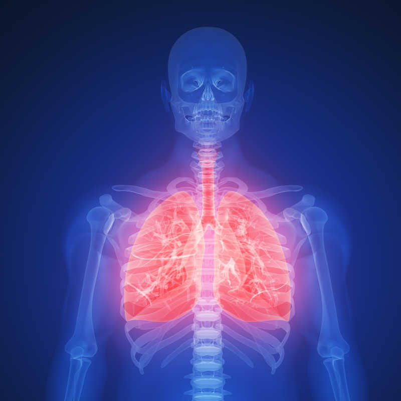 X射线下的红色肺部