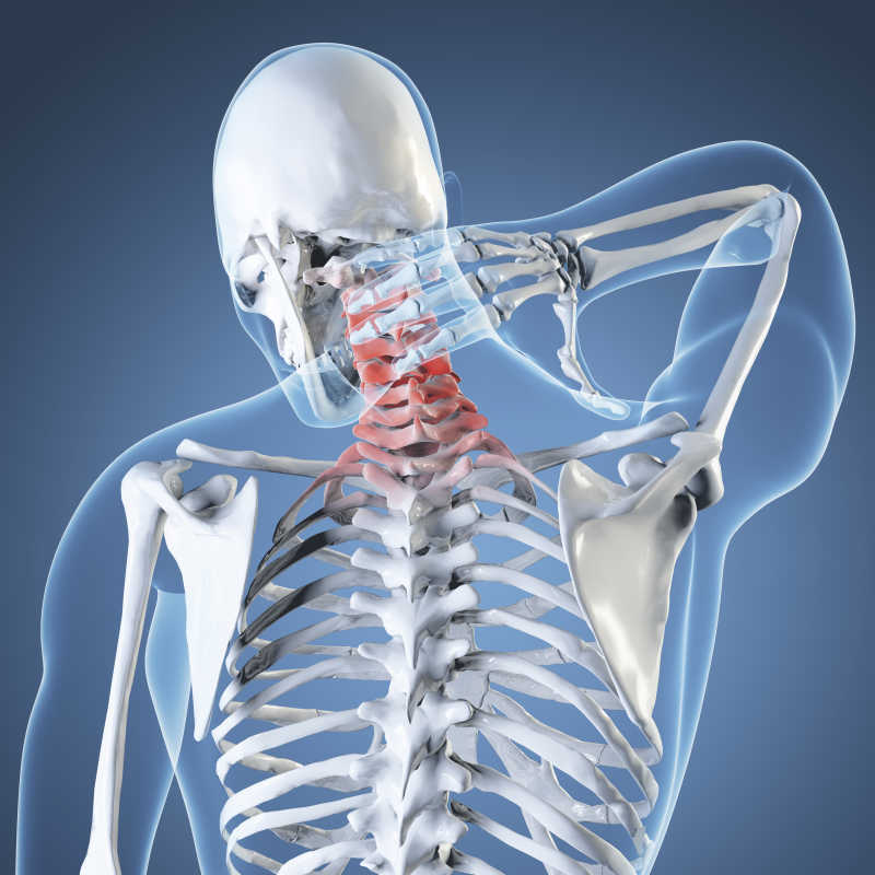 人体骨骼图片 人体骨骼脖子疼痛素材 高清图片 摄影照片 寻图免费打包下载