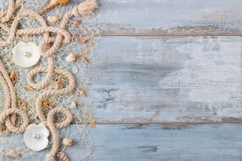 木板上的渔网和贝壳