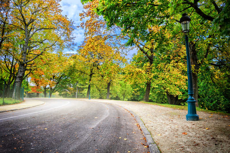 秋季的小路特写