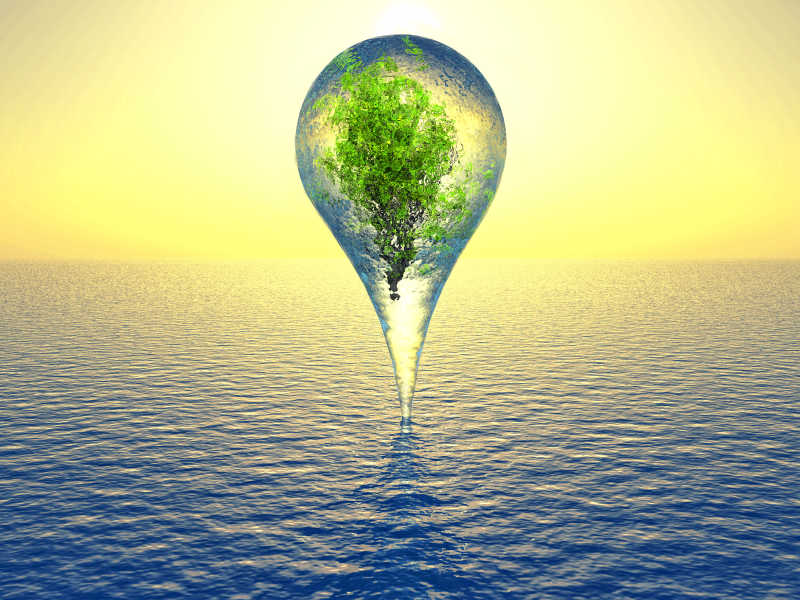 海面上巨大水滴里的树