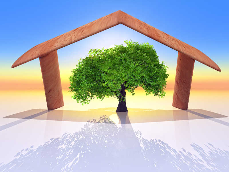 盖在树上面的屋顶