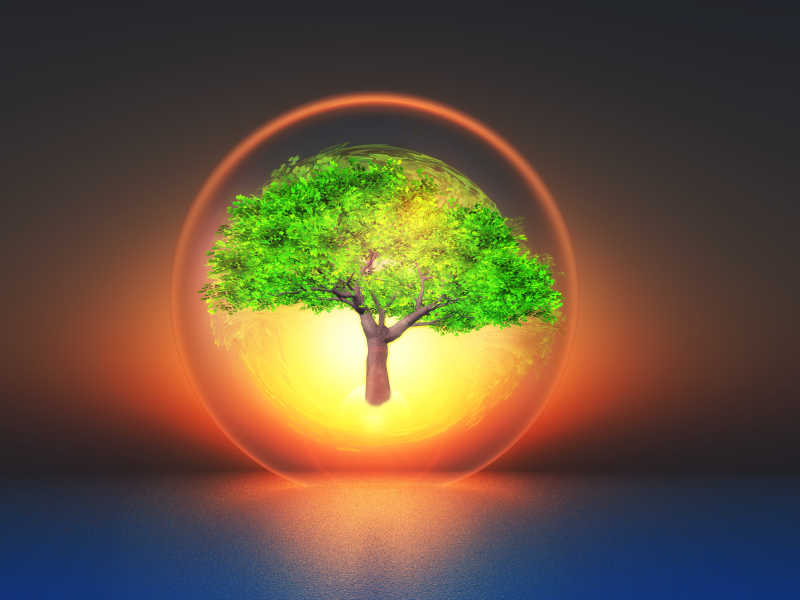 保护圈里茂盛的大树环保概念