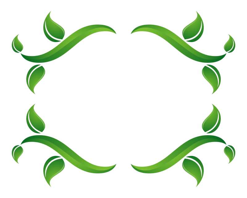 绿枝叶边框设计