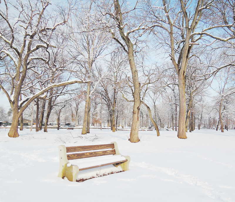 冬天下雪后的公园