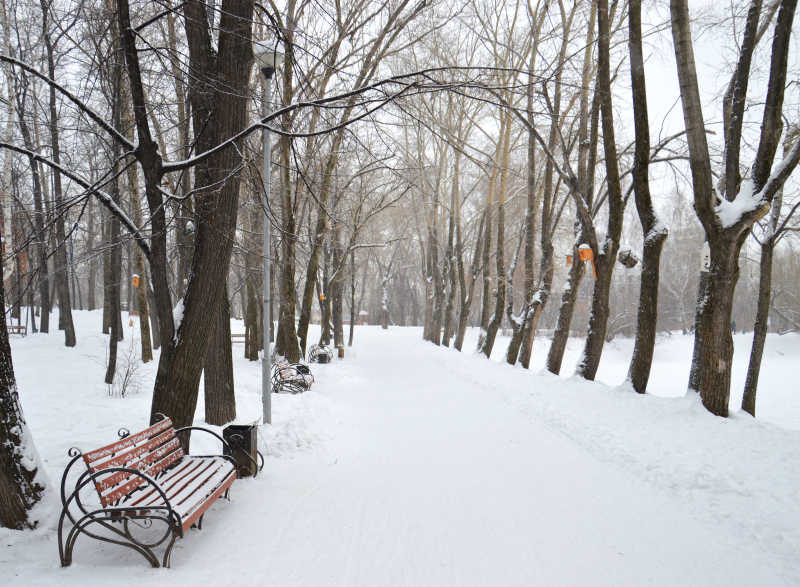 冬季白雪皑皑的公园