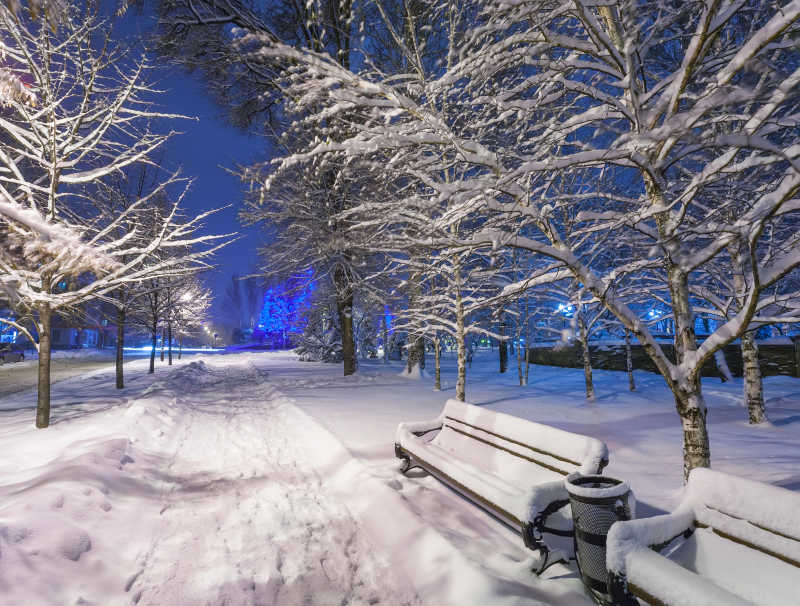 冬季夜晚冰雪覆盖的公园