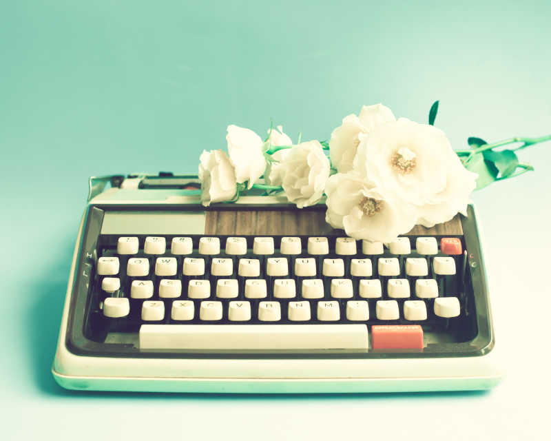 键盘上的白色玫瑰花