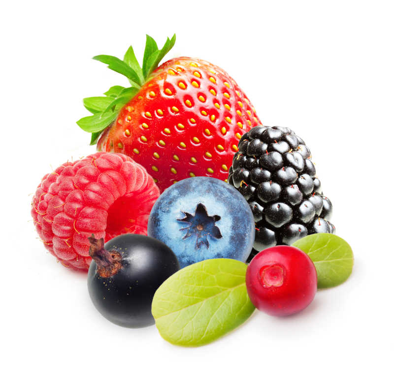 白色背景下的浆果