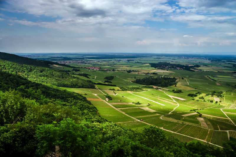 阿尔萨斯的农田