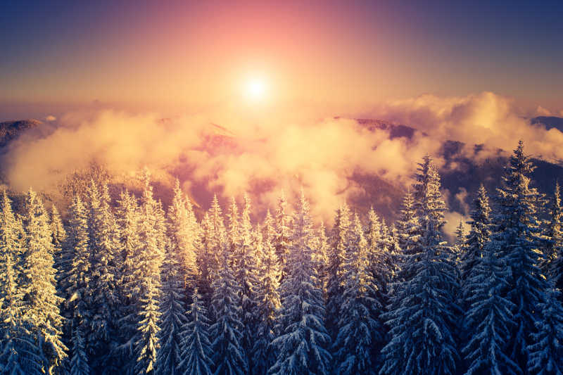 冬天傍晚的云海雪山和树木