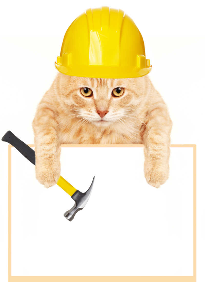 白色背景下小猫拿着锤子和画板带着黄色安全帽