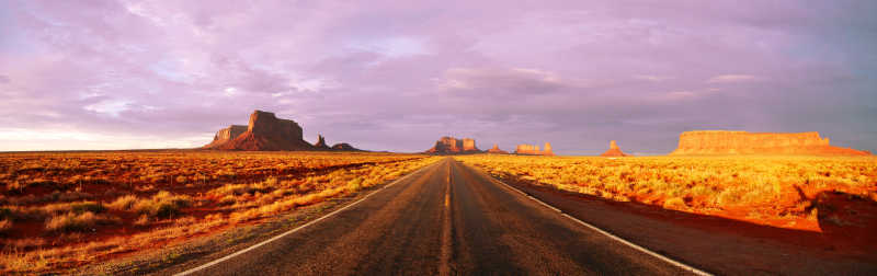 白云背景下的黄昏的美国公路两旁的金色田野