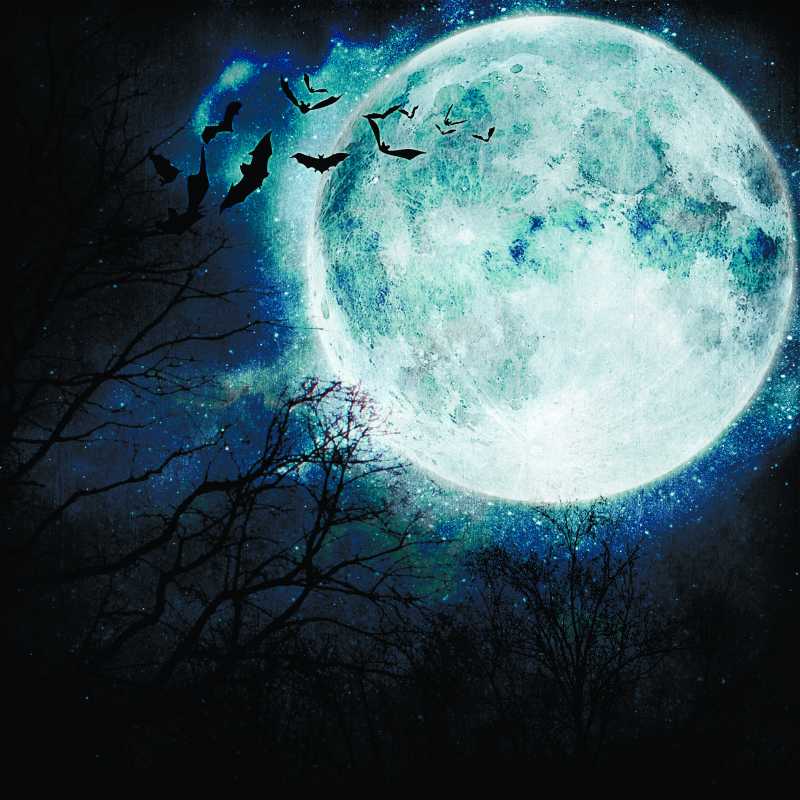 万圣节的背景满月中飞行的蝙蝠