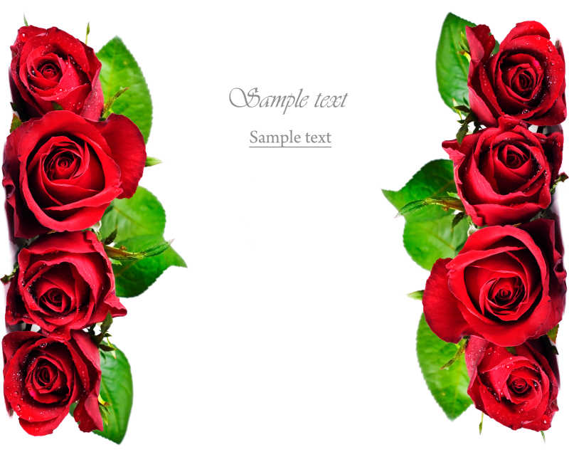 情人节浪漫红玫瑰背景