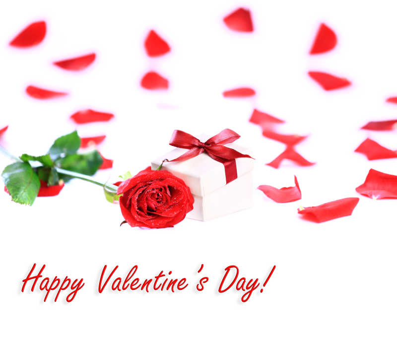 洒满花瓣的床单上放着一个礼盒和一只玫瑰