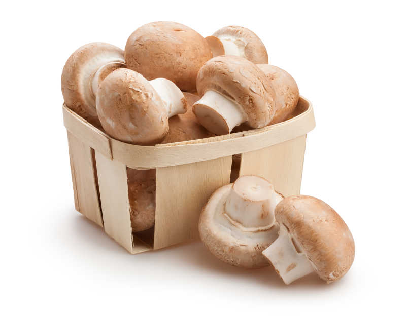 白色背景中木框里的蘑菇