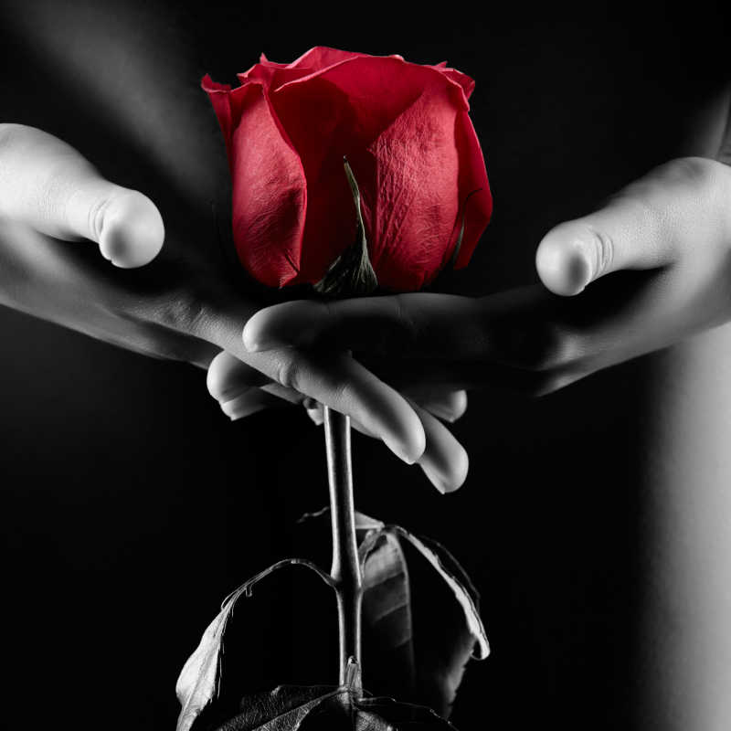 女人的剪影下的玫瑰花
