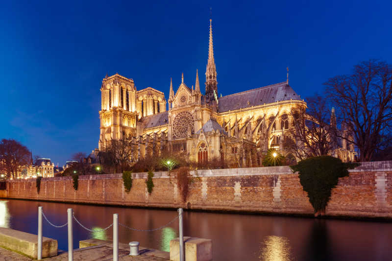 美丽的巴黎圣母院大教堂夜景