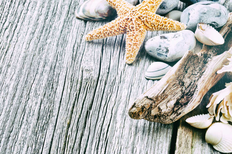 鹅卵石贝壳和海星