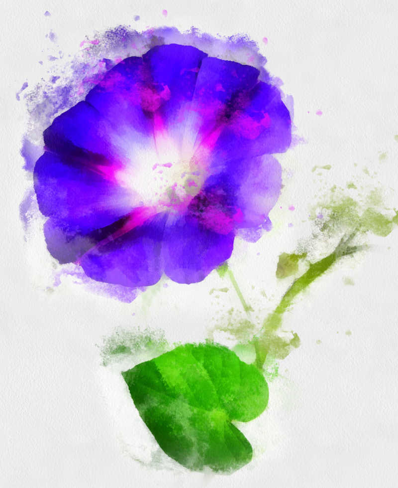 水彩画中的紫色花卉壁纸