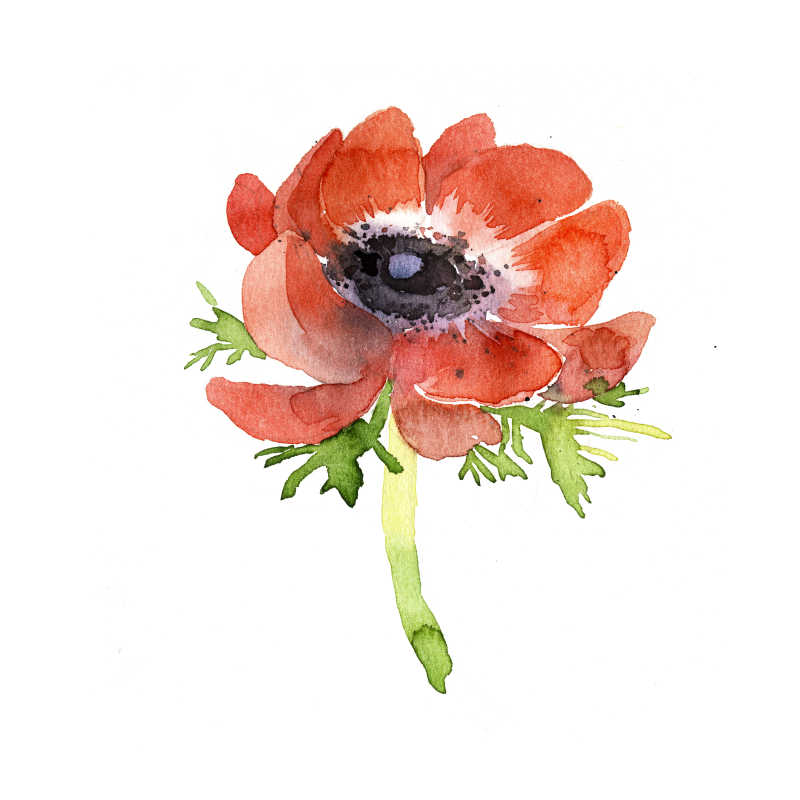 漂亮的手绘红花壁纸