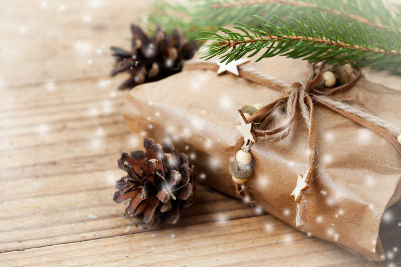 圣诞装与圣诞树枝和松果