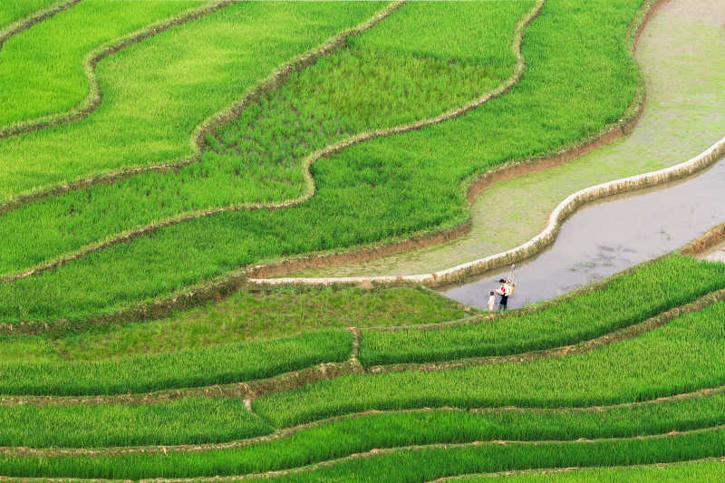 梯田美景