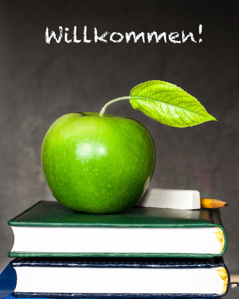 写着回到学校德语字母的黑板前书本上的青苹果和粉笔