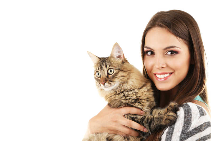 美丽的少女抱着可爱的猫咪