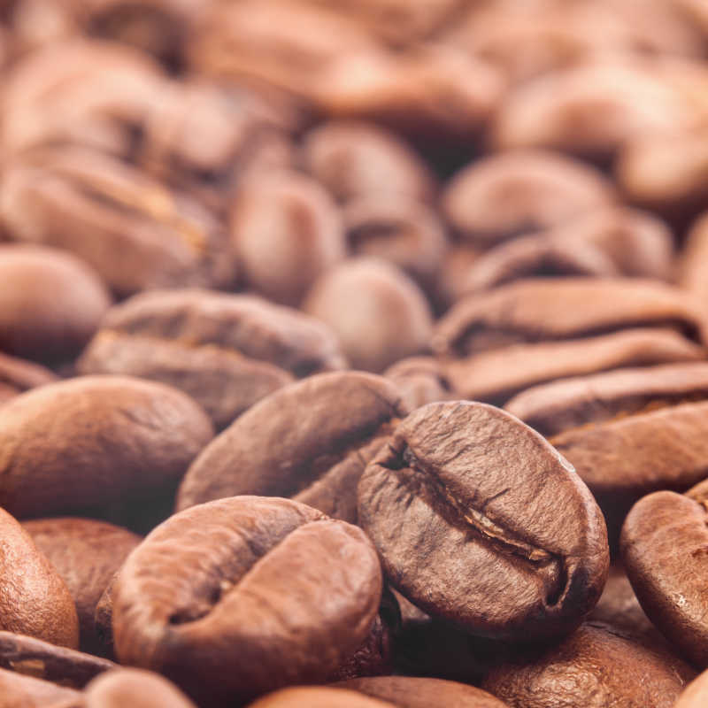 与专注于一个咖啡豆的特写