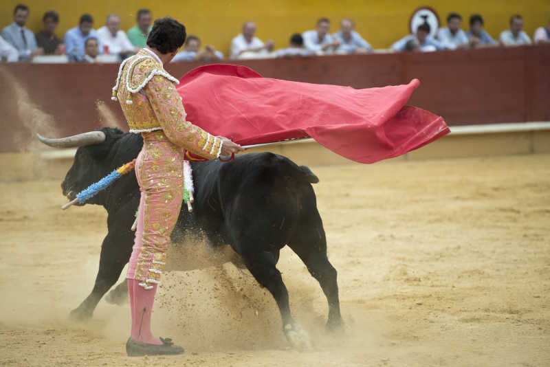 在一个典型的西班牙斗牛士斗牛战斗