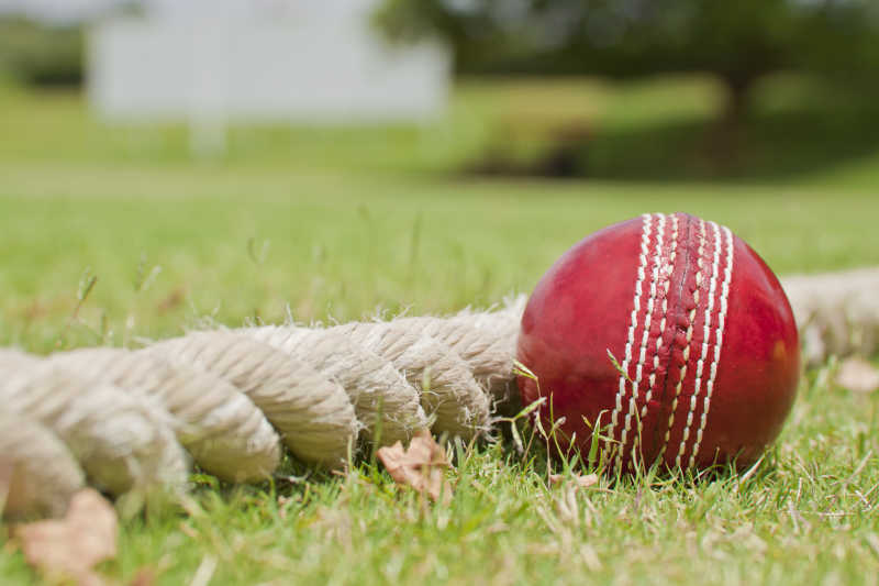 红色的板球挨着边界绳