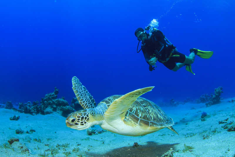 海底洞穴探險的潛水員