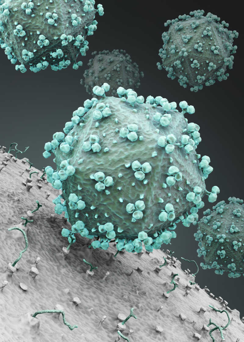 3D渲染艾滋病毒攻击细胞