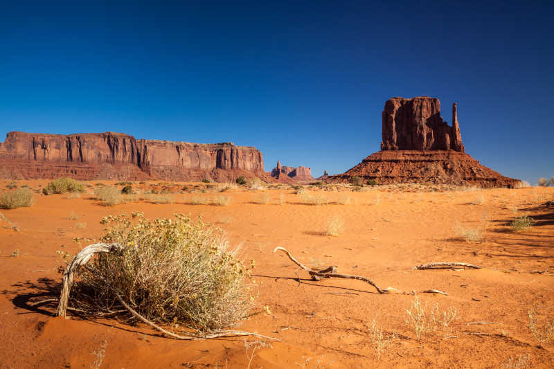 荒芜的美国纪念碑谷