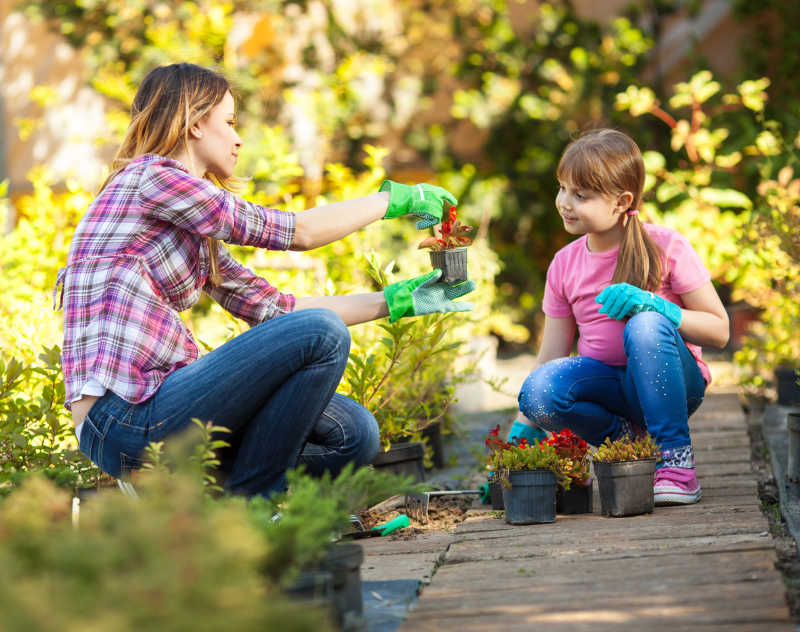 种植花草的母女