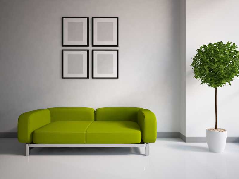 白色内饰与绿色家具