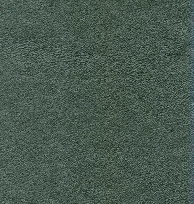 绿色皮革