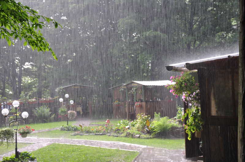 图片 创意图片 下雨时的花园景色jpg 大小:16